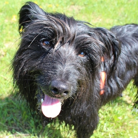 Im Frühling 2019 (4)